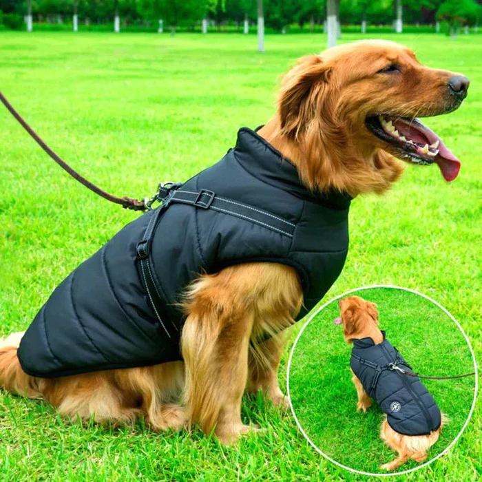 Belro waterproof winter dog jacket with sherpa-fleece lining and built-in harness, designed for cold weather and outdoor protection.