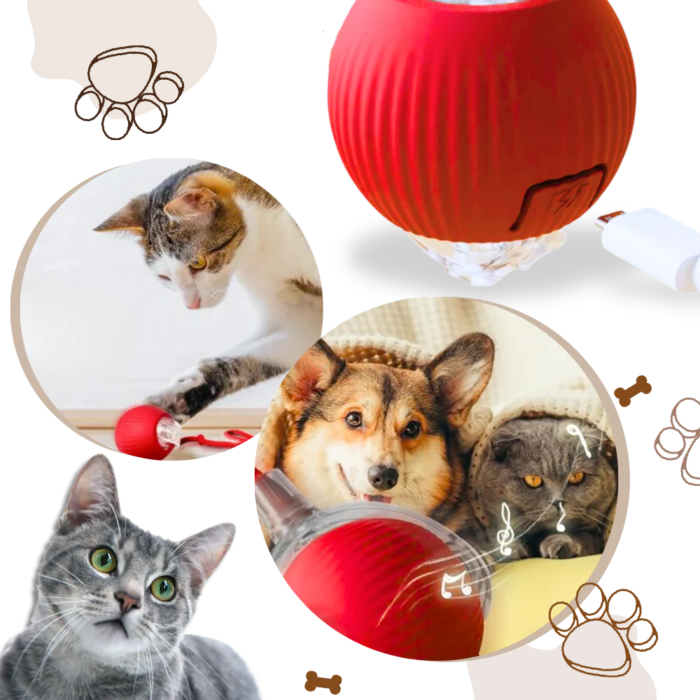 Belro smart interactive cats ball toy for pets, featuring colorful spinning design to entertain cats and stimulate play.