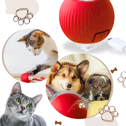 Belro smart interactive cats ball toy for pets, featuring colorful spinning design to entertain cats and stimulate play.