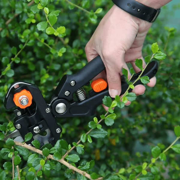 Belro professional grafting and pruning tool for gardening, with sharp blades and ergonomic handle for precise garden trimming.