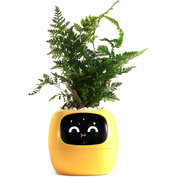 Belro Smart Plant Pot Ivy for outdoor gardening, featuring modern design and innovative plant care technology.