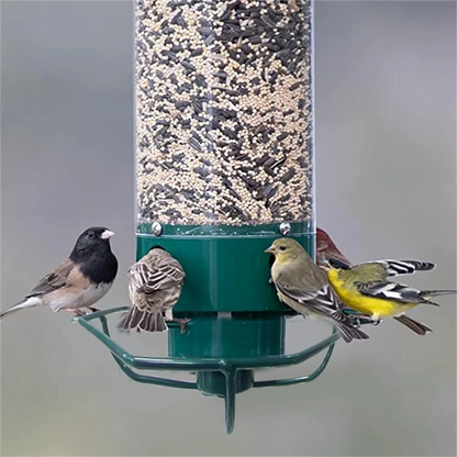 Belro squirrel-proof bird feeder hanging outdoors, designed to prevent squirrels from accessing bird food in a home and garden decor setting.