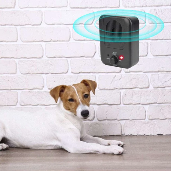 Belro dog anti barking device in use, a pet training accessory designed to reduce excessive barking in dogs.