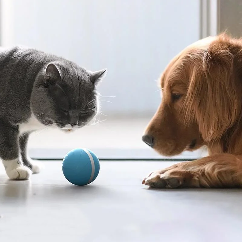 Belro Magic Ball Pet Motion Toy for cats, featuring a colorful, rotating ball designed to entertain and engage cats during playtime.