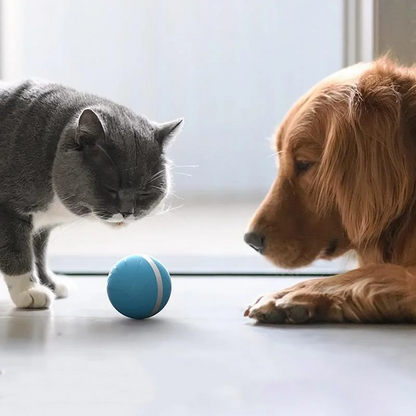 Belro Magic Ball Pet Motion Toy for cats, featuring a colorful, rotating ball designed to entertain and engage cats during playtime.