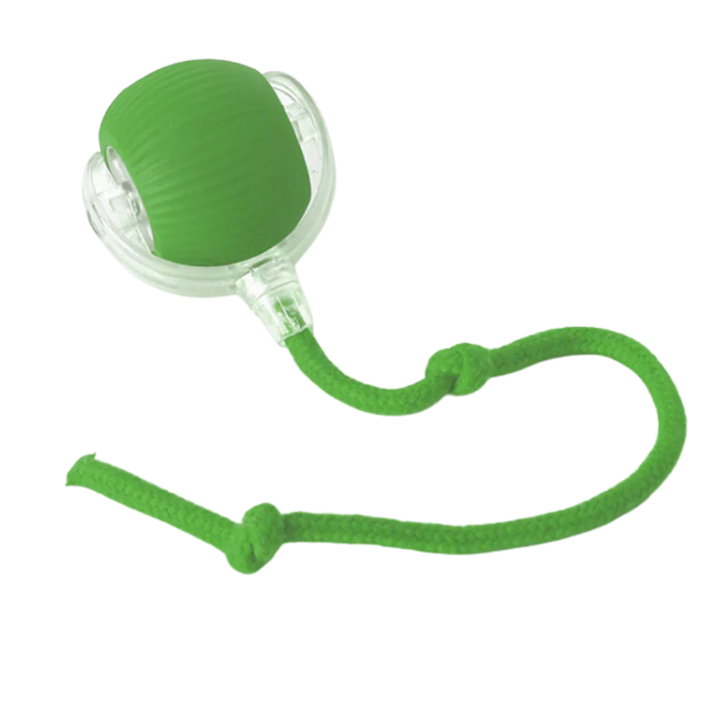 Belro Smart Interactive Cats Ball Toy with colorful LED lights, designed to entertain and engage feline pets.