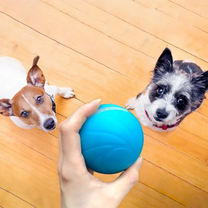 Belro Magic Ball Pet Motion Toy for cats, round interactive toy with colorful patterns, designed to entertain and stimulate feline play.