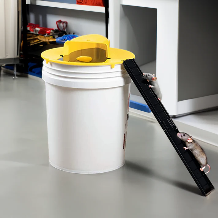 Belro Humane Bucket Cover Mouse Trap in a home and garden outdoor pest control setting, showing the trap's cover and setup.