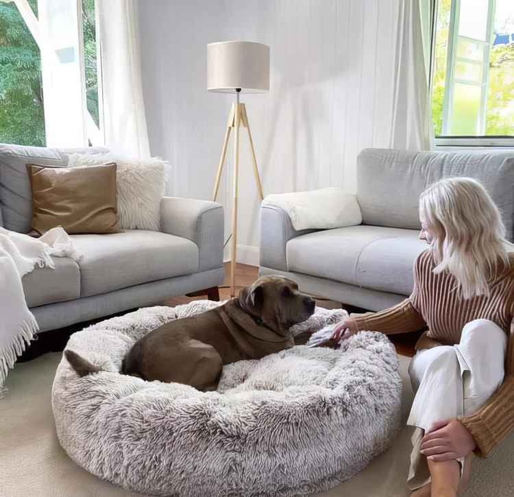 Belro calming dog bed with soft fabric and cushioned sides for comfortable pet relaxation.