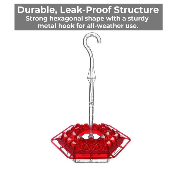 Belro ant-proof hummingbird feeder with 30 bee-resistant ports, designed for garden decor and bird watching.