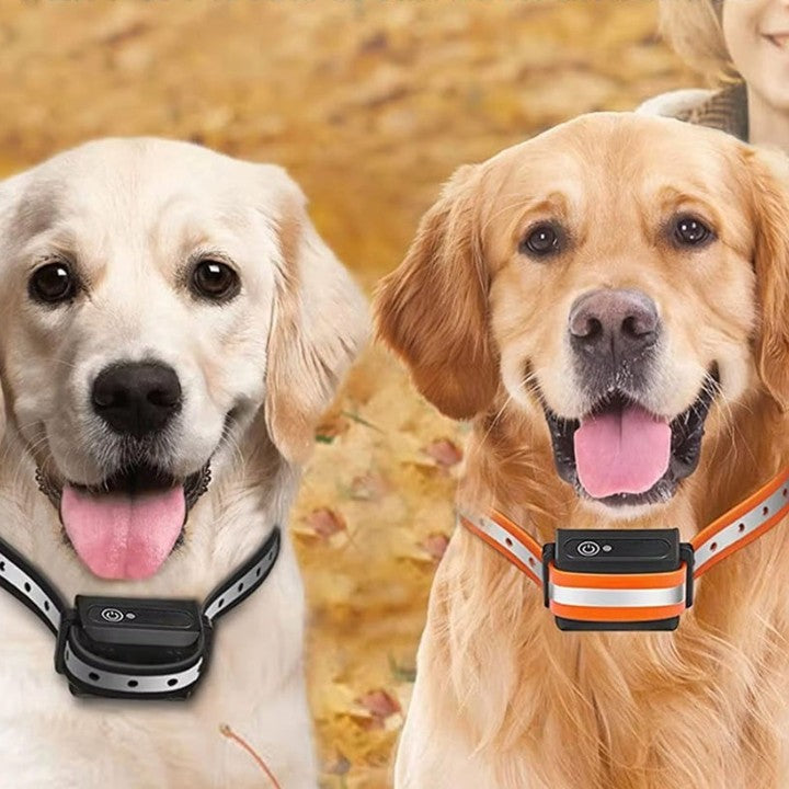 Mivoza dog training collar with remote, vibration and beep modes, shown on a dog in a training setting, 1000m range.