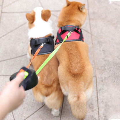 Belro anti-tangle double dog leash with adjustable straps and metal clips, designed for walking two dogs simultaneously.
