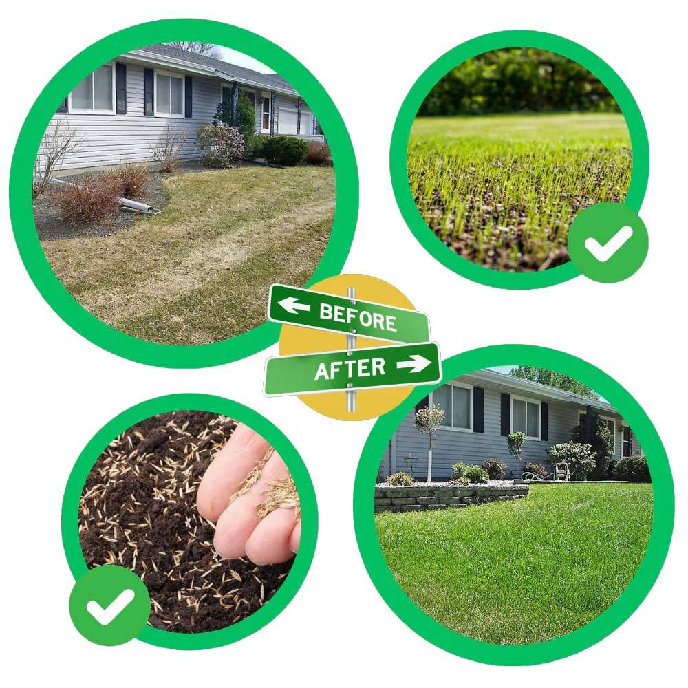 Belro Quick Fix Green Grass Seed Mat laid on soil, showing a lush, green grass transformation for outdoor garden landscaping.