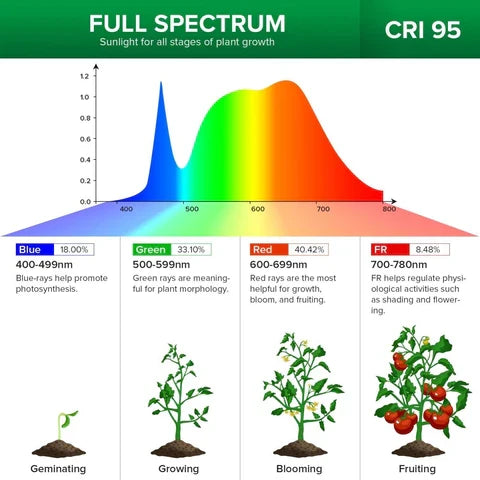 Belro full spectrum gooseneck LED grow lamp for indoor greenhouse plants, flexible design for optimal plant lighting.