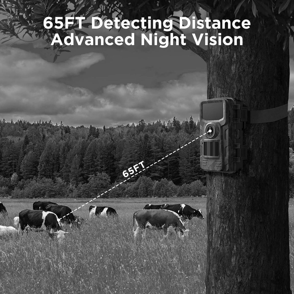 Belro night vision outdoor wildlife animal trail camera showing front view with infrared sensor and lens for wildlife monitoring.