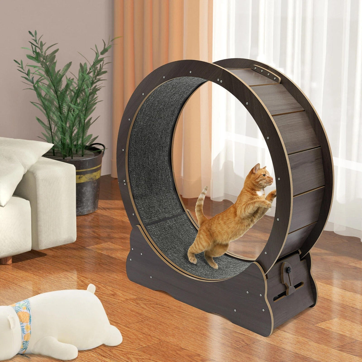 Belro cat exercise wheel designed for indoor activity, featuring a sturdy structure and smooth rolling surface for feline fitness.