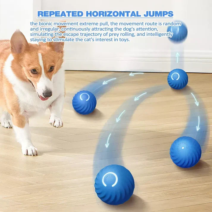 Belro Active Rolling Ball anti-anxiety toy for cats, automatic moving toy to keep cats entertained and reduce stress.
