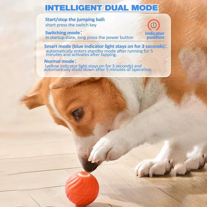 Belro Active Rolling Ball anti-anxiety automatic toy for cats, with moving ball design to entertain and soothe feline pets.