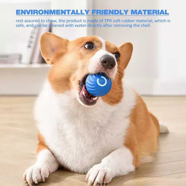 Belro Active Rolling Ball anti-anxiety toy for cats, automatic moving pet toy to entertain and soothe feline pets.