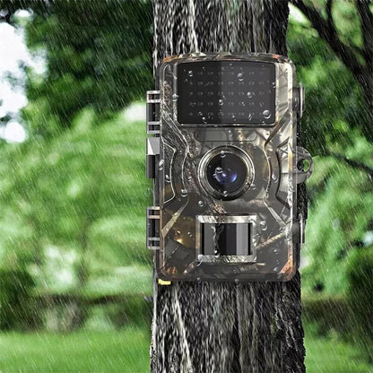 Belro night vision outdoor wildlife camera mounted on a tree, capturing images of animals in their natural habitat.