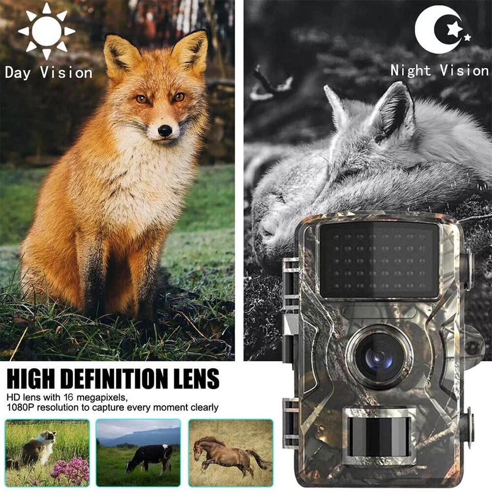 Belro night vision outdoor wildlife trail camera capturing images of animals in natural outdoor settings with infrared technology.