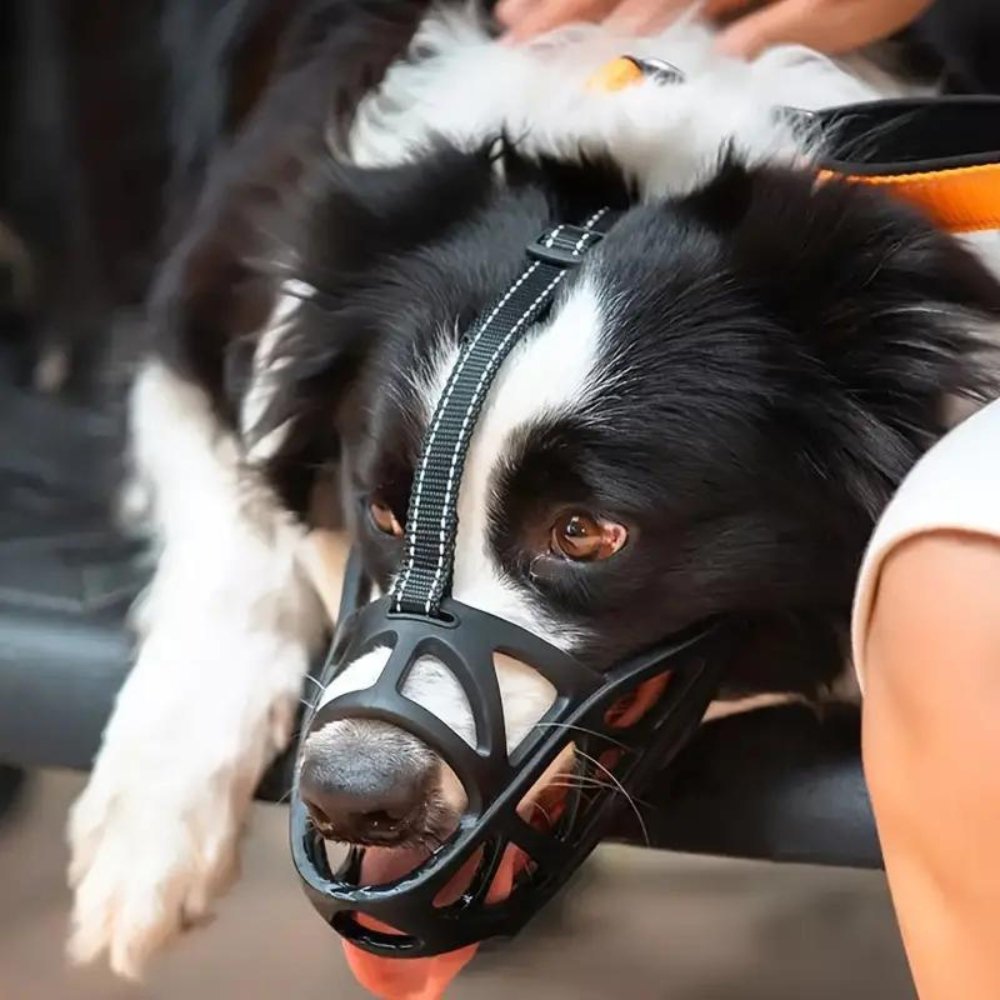 Dog muzzle by BowLift, adjustable mesh and breathable design for comfort and safety during walks or training.