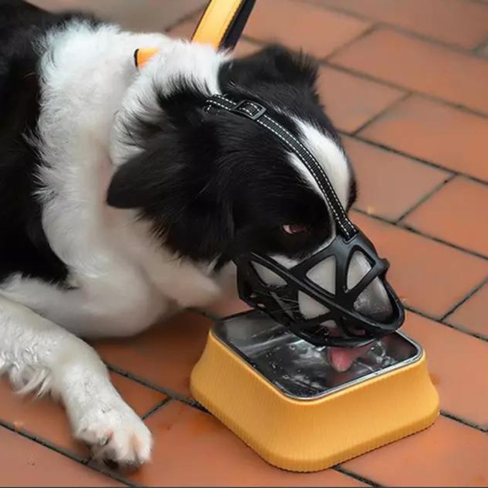 Adjustable breathable mesh dog muzzle by BowLift, designed for safe, comfortable anti-bark control and secure fit.
