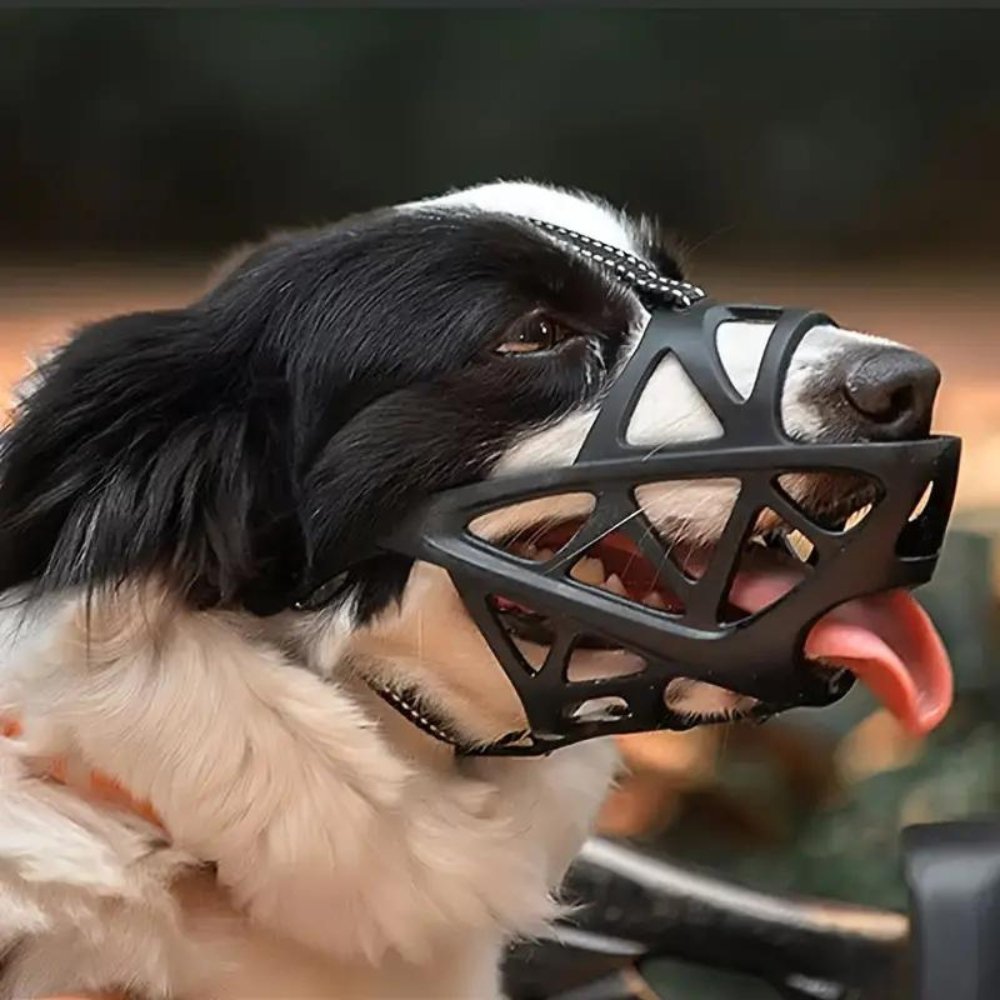 Adjustable SafeBark dog muzzle by BowLift, made of breathable mesh for comfort and safety during walks.