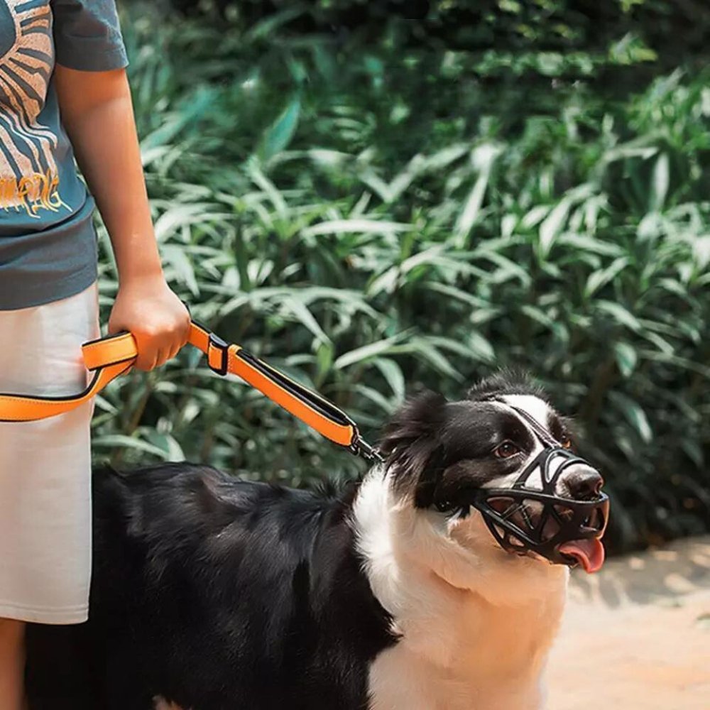 SafeBark adjustable dog muzzle by BowLift, breathable mesh design for comfort and safety during walks or training.