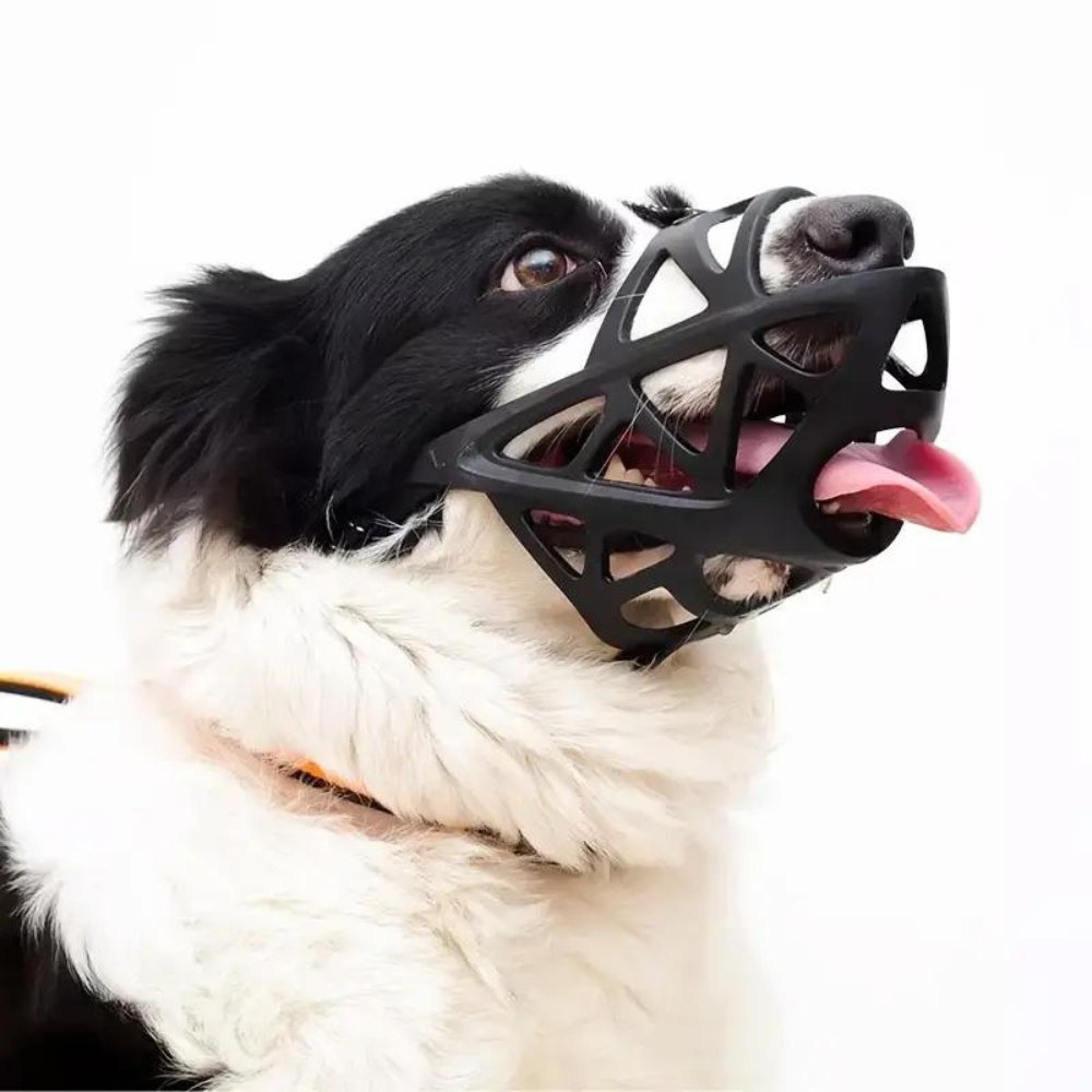 SafeBark Dog Muzzle by BowLift, adjustable breathable mesh muzzle for dogs, designed for comfort and anti-bark control.
