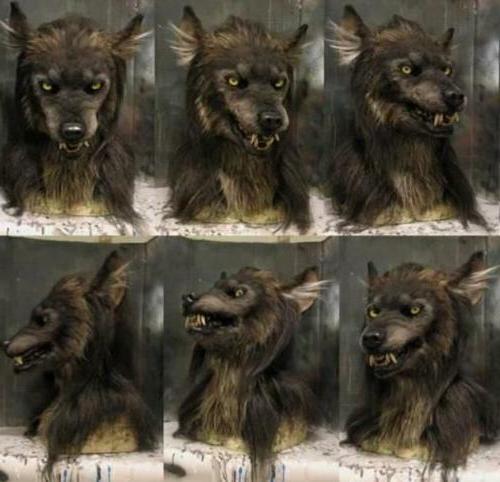 Belro scary wolf mask for Halloween costume, featuring realistic wolf details, perfect for masquerade parties and spooky dress-up.
