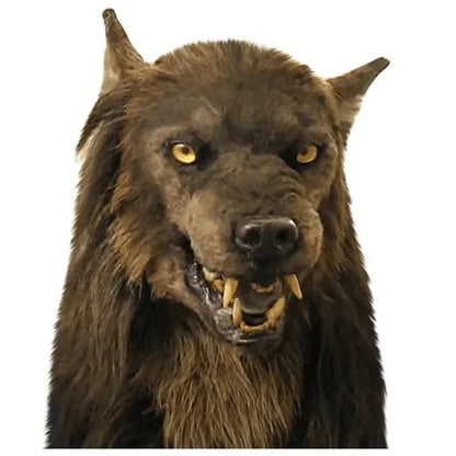 Belro scary wolf mask for Halloween and masquerade parties, featuring realistic wolf features and detailed costume design.