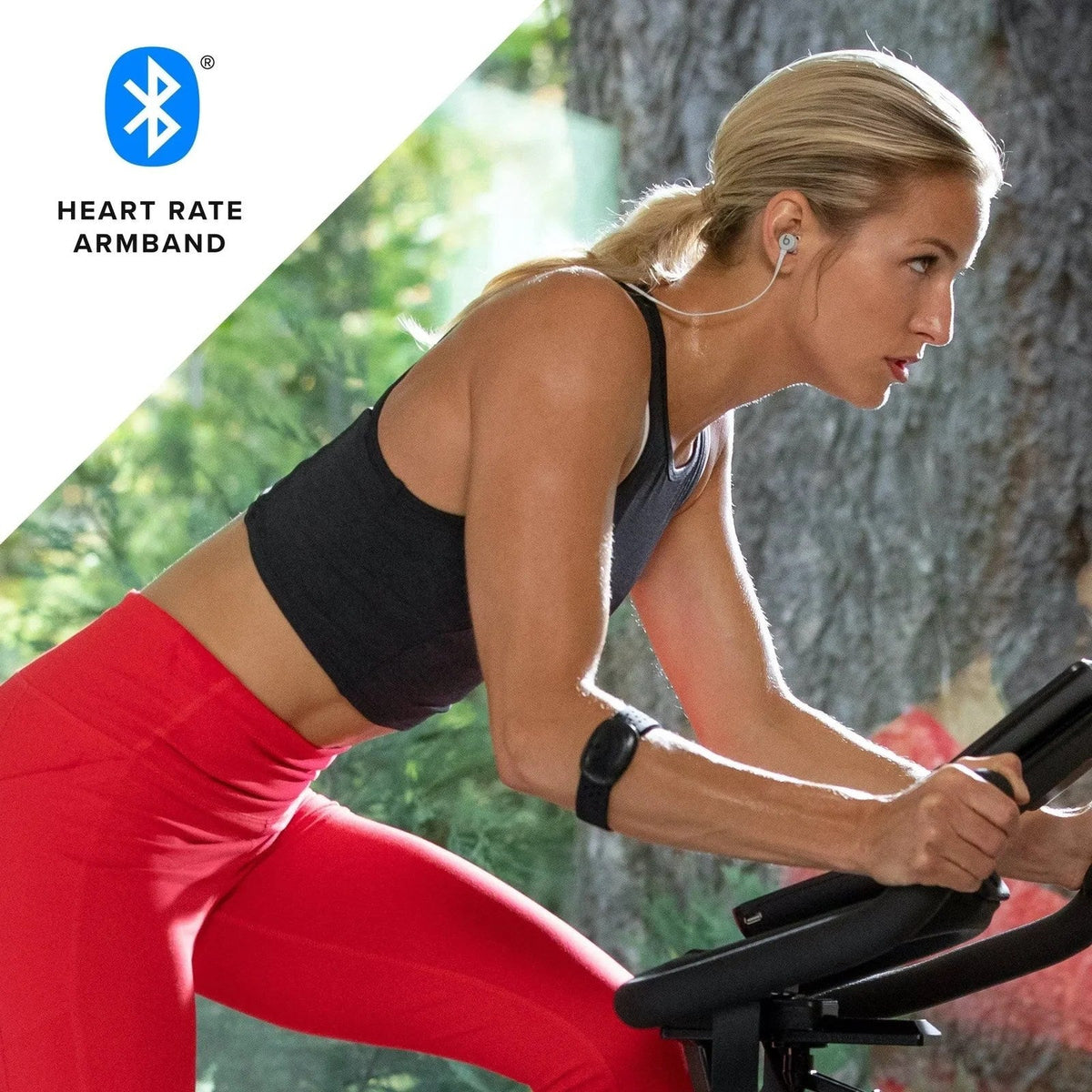 Casavibeo BowFlex C6 bike with digital display, adjustable seat, and sleek design for indoor cycling workouts