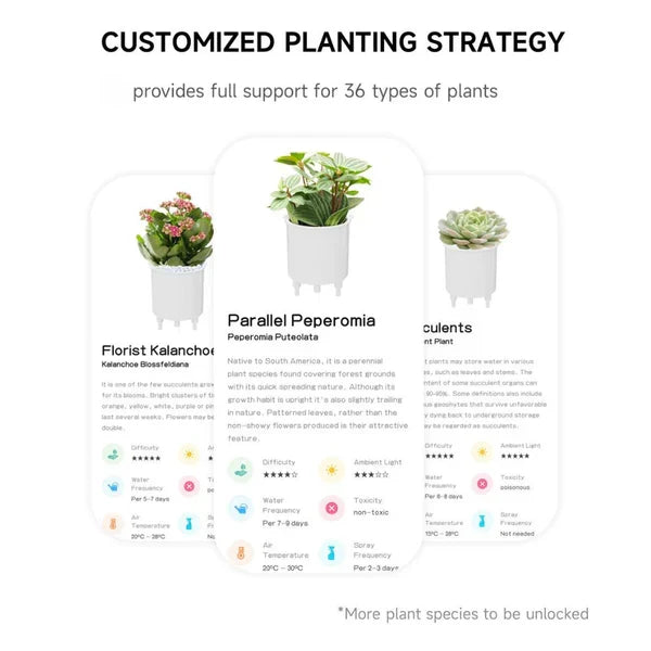 Belro Smart Plant Pot Ivy for outdoor gardening, showcasing a modern, innovative plant care container with lush green ivy.