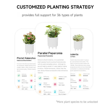 Belro Smart Plant Pot Ivy for outdoor gardening, showcasing a modern, innovative plant care container with lush green ivy.