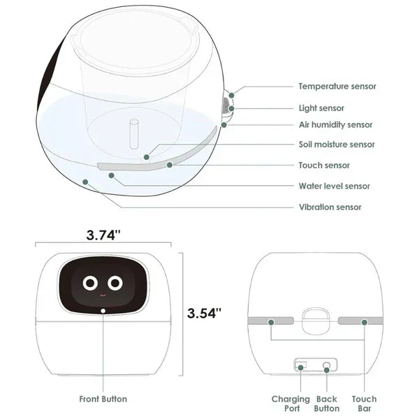Belro Smart Plant Pot Ivy for outdoor garden, innovative plant care container with sleek design and smart features.