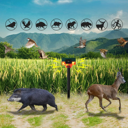 Belro solar bird repeller with flashing light, outdoor pest control device for deterring birds in garden or yard.