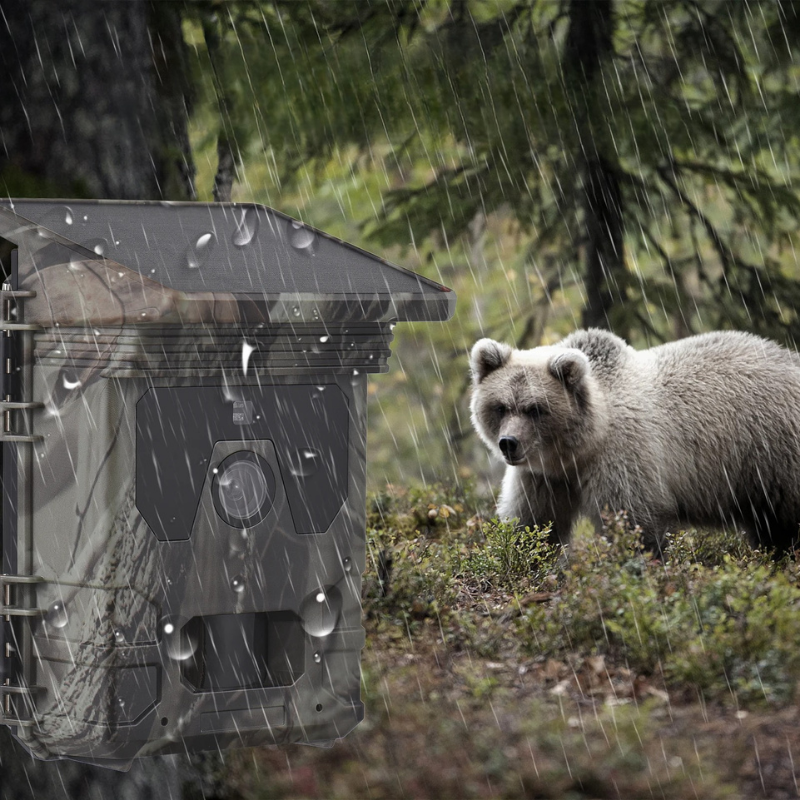 Belro solar-powered night vision trail camera capturing wildlife with infrared LEDs in outdoor setting.
