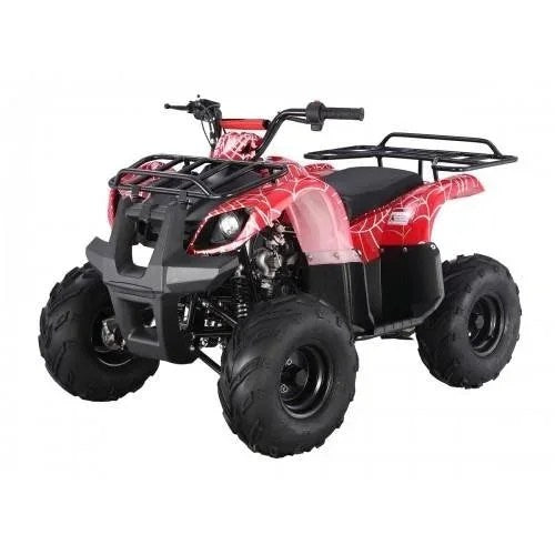 Casavibeo Tao Motors D125 Kids ATV with colorful design, rugged tires, and safety features for young riders.