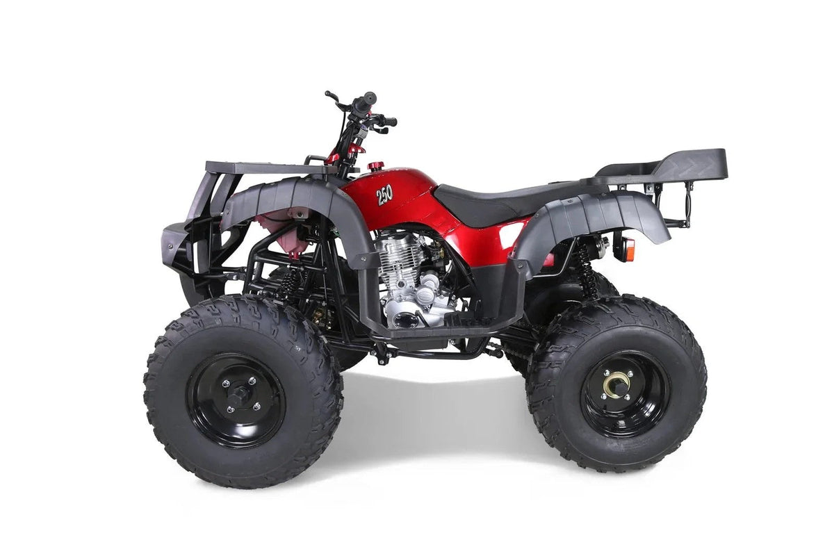 Casavibeo Taotao 250 Rhino adult utility ATV with rugged tires, black body, and handlebar steering visible in the image.