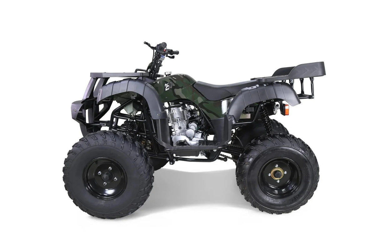 Casavibeo Taotao 250 Rhino adult utility ATV with rugged tires and robust build for off-road adventures.