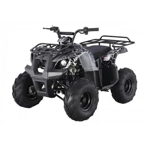 Kids ATV by Tao Motors D125 from Casavibeo, shown in green with rugged tires and safety features suitable for children.