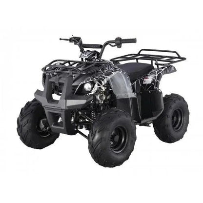 Kids ATV by Tao Motors D125 from Casavibeo, shown in green with rugged tires and safety features suitable for children.