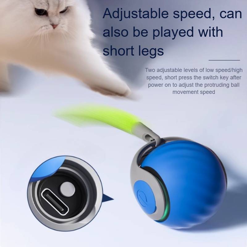 Interactive Belro cat toys for indoor cats, featuring colorful and engaging play accessories for feline entertainment.