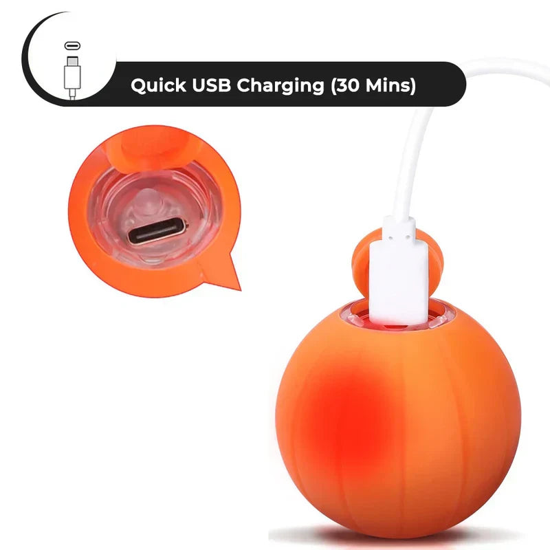 Belro Pet Ball, special edition rechargeable cat toy with automatic rolling, designed to entertain cats with fun movement.
