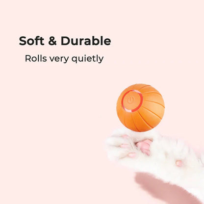 Durable Belro Pet Ball toy for cats, featuring a colorful design and textured surface for playful feline entertainment.
