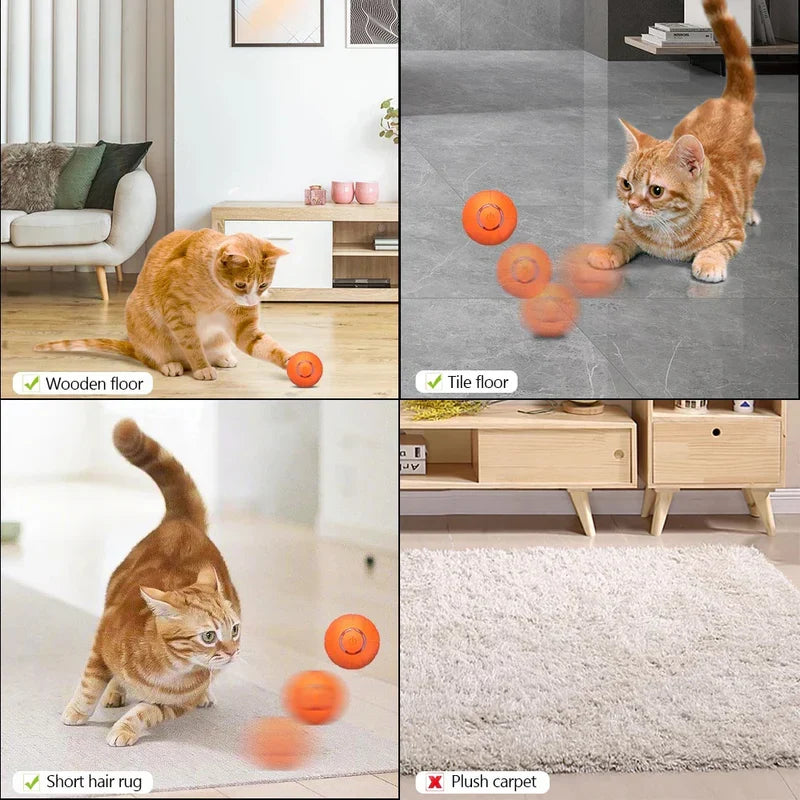 Belro Pet Ball, special edition interactive cat toy with colorful design, designed to entertain and engage cats during playtime.