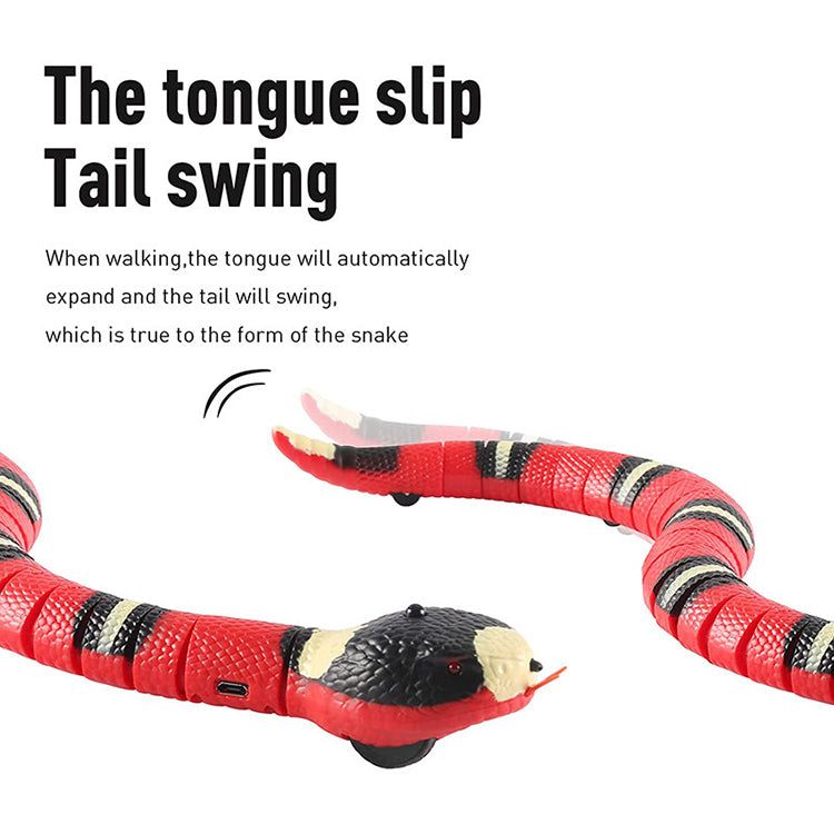 Belro interactive cat toy with colorful buttons and moving parts, designed to entertain and engage cats during playtime.