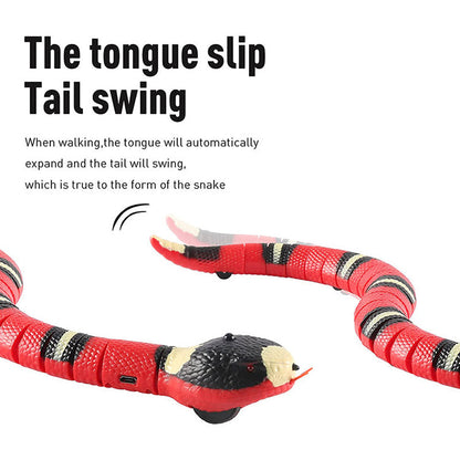 Belro interactive cat toy with colorful buttons and moving parts, designed to entertain and engage cats during playtime.